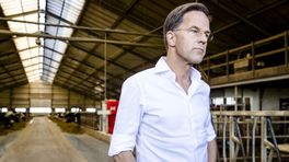 Melkveehouder en gebiedsmakelaar uit Een ging in gesprek met Rutte: 'Geef de regie aan de gebieden'