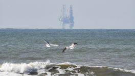 Duitsers en Nederlanders werken samen tegen gasboringen op zee