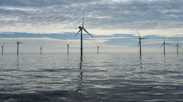 Kabinet wil dat Gasunie waterstofnetwerk op de Noordzee gaat ontwikkelen
