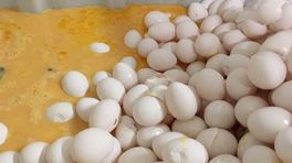 Had de fipronilcrisis voorkomen kunnen worden? Kamerleden stellen vragen