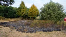 Natuurbrandjes bij Hoogeveen en Veenoord