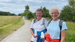 Ruim 700 wandelaars stappen dit weekend door Westerwolde: 'Even je hoofd leegmaken'