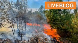 112-nieuws: brandweer blust bosbrand • man bevrijd uit modder