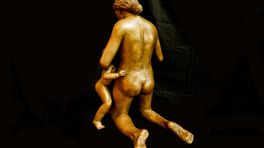 Kunstenaar moet 'aanstootgevend' beeld bij Martini Ziekenhuis verwijderen