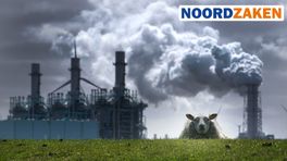 'Sluit kolencentrales al in 2025, anders dreigt een klimaatramp'