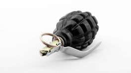 Geen cel maar taakstraf voor poging tot bestellen van Russische handgranaten via dark web