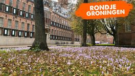 Rondje Groningen: Is het nou lente, herfst of lenterfst?