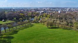 Gras in Coevorder Van Heutszpark wordt (bijna) niet meer gemaaid