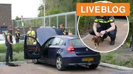 112-nieuws: omstanders bevrijden hond uit rokende auto • Albert Heijn ontruimd