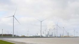 Miljoenengevecht rond windmolenposities in Eemshaven