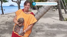 Ellen vond in Martinique iets bijzonders onder haar stoel: 'Niemand durfde nog te bewegen'