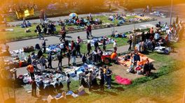 Oranje boven in Gelderland: zo vierden we massaal Koningsdag