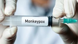 GGD gaat volgende week vaccineren tegen apenpokken