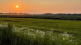 Drenthe vraagt ruim 50 miljoen euro om aan de gang te gaan met landbouw