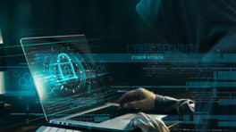 Grootste stijging cybercriminaliteit in Limburg