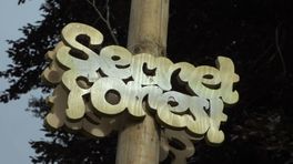 Organisator Secret Forest Festival: ‘Zelfs nu schrik ik nog weleens wakker’