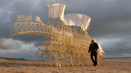 Kunstmuseum Den Haag zet tien 'strandbeesten' voor de deur