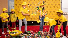 Wie wordt de nieuwe LEGO Meester Modelbouwer
