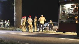 Automobiliste overleden na frontale botsing met boom