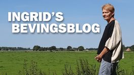 Ingrid's Bevingsblog: Heel bevend Groningen van het aardgas af?
