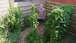 Stadjer Mark Zwerwer droomt van zijn eigen voedselbos