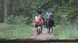 Paarden, hardlopers en mountainbikers perfect in harmonie bij Ride&Run in Schoonloo
