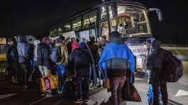 Organisaties bieden met bussen beschutting voor regen bij Ter Apel