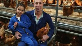 Chickfriend-eigenaren voor de rechter: 'Van een kale kip kun je niet plukken'