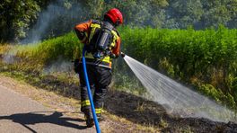 Brandweer roept provincie en gemeenten op om bermen met spoed te maaien