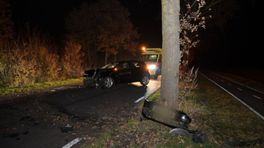112-nieuws: Bestuurder rijdt tegen boom bij Wagenborgen en wordt aangehouden