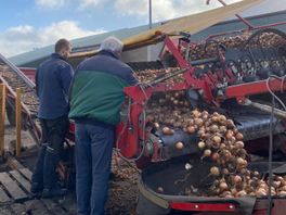 "Met dit teeltplan krijg ik mijn gewassen niet groot": akkerbouwer Giethoorn bezorgd over plan ministerie