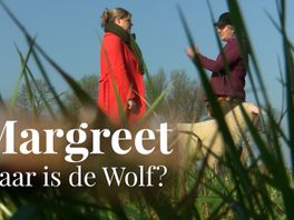 Margreet: De zorgen van schapenhouders over de komst van de wolf