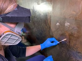 Restauraasje yn Museum Martena bringt beskildere behang wer foar it ljocht