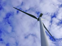 'Magere' windmolenplannen polder Rijnenburg oogsten kritiek: 'Aanbesteding mislukt, woningbouw is noodzaak'