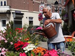 Bloembakken voor restaurant Amon moeten blijven, vindt D66: 'Voor vergroening en verkeersveiligheid'