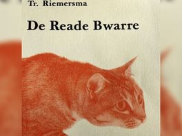 Biografie Friese schrijver Trinus Riemersma met een vernieuwde Reade Boarre