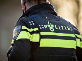 Politie houdt drie jonge jongens aan op een dak na een inbraak in Leeuwarden