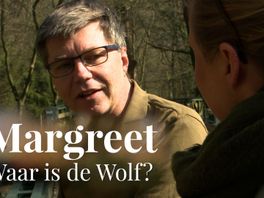 Wolvenfilmer Cees van Kempen: de wolf is geen eng sprookjesdier