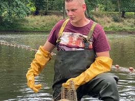 Na regen komt... viezigheid: naar adem happende vissen gered uit vervuilde vijver in Almelo