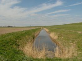 Advocaat Hulst: 'Rijkswaterstaat tekort geschoten bij aanleg dijk Perkpolder'