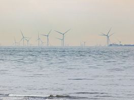 Veel meer windmolens op de Noordzee in 2050