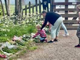 Lotte was getuige van schietdrama Alblasserdam: moeder roept op om kaartjes te sturen