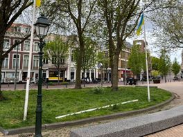 Regenboogvlag Huijgenspark opnieuw uit de grond getrokken: 'Het is heel erg triest'