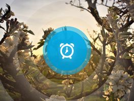 Goede Vrijdag! Spoorlijn Gent-Terneuzen dichterbij en een hoop reacties op overlijden Amigo