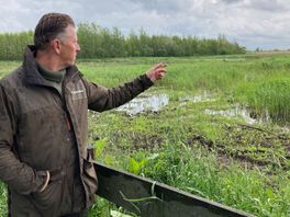 Boswachter René roept defensie op niet laag over natuurgebieden te vliegen: 'Het verstoort hun broedtijd'
