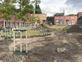 Afgestorven bomen en puin in speeltuinen: 'Nieuwbouwwijk Haags Buiten lijkt wel een natuurramp'