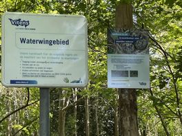 Hoogleraar geologie: 'Geen zorgen voor drinkwater in Twente door afvalwater van de NAM'