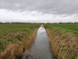 Strenge Europese waterregels komen snel dichterbij voor Zeeland