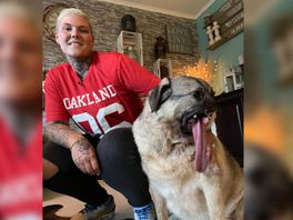 Joëlle uit Zoetermeer adopteerde hond zonder snuit: 'Elke hond verdient een huis'