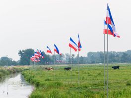 Tweehonderd omgekeerde vlaggen op eigen grond neergezet langs N-weg